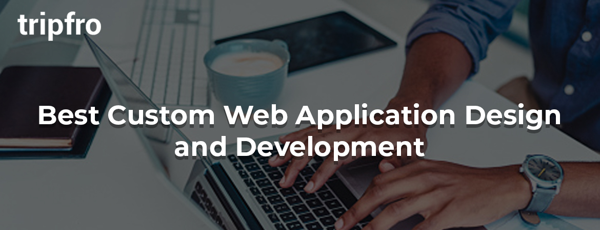 Custom-Web-Development