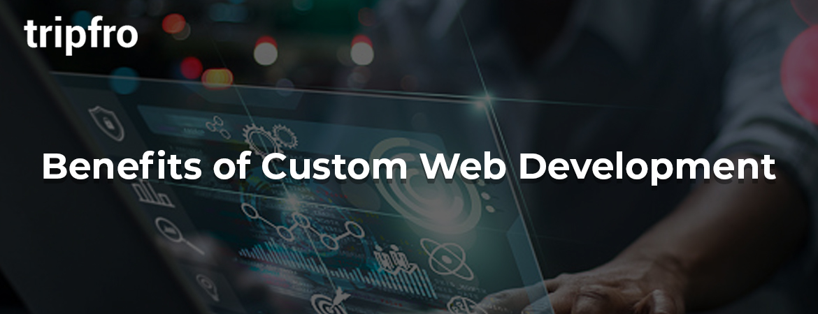 Custom-Web-Development