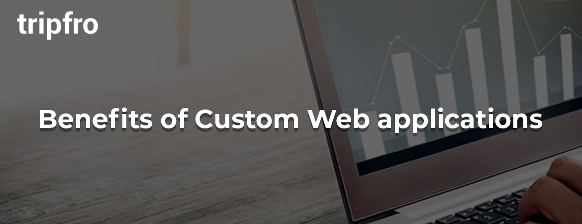 Custom-Website-Application-Development