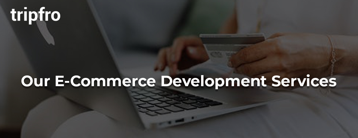 Ecommerce-Portal-Development-Design-Company