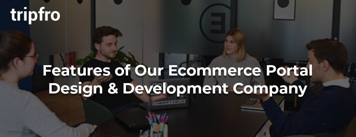 Ecommerce-Portal-Development-Design-Company