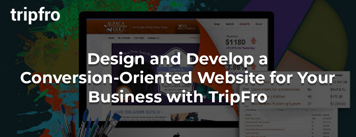 Web-Portal-Design-and-Development-Service