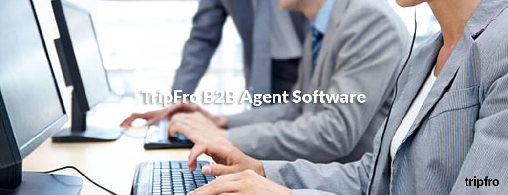 b2b-agent