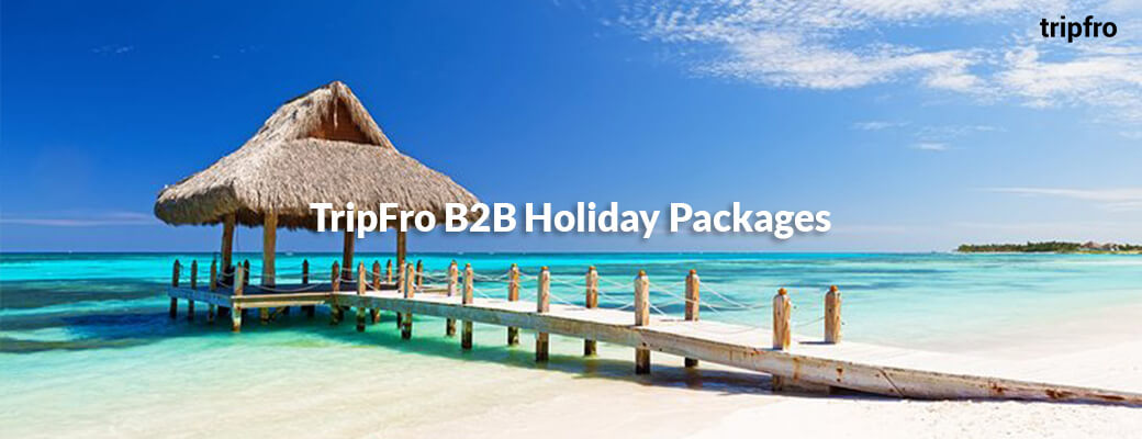 b2b-holiday-packages
