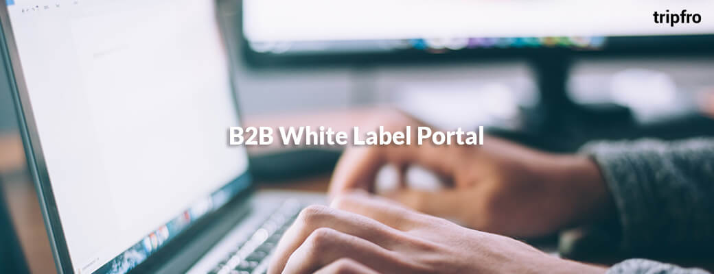 B2B Travel Portal