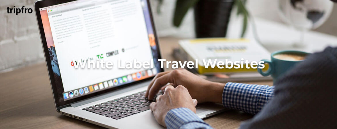 b2c-b2b-white-label-travel-portal