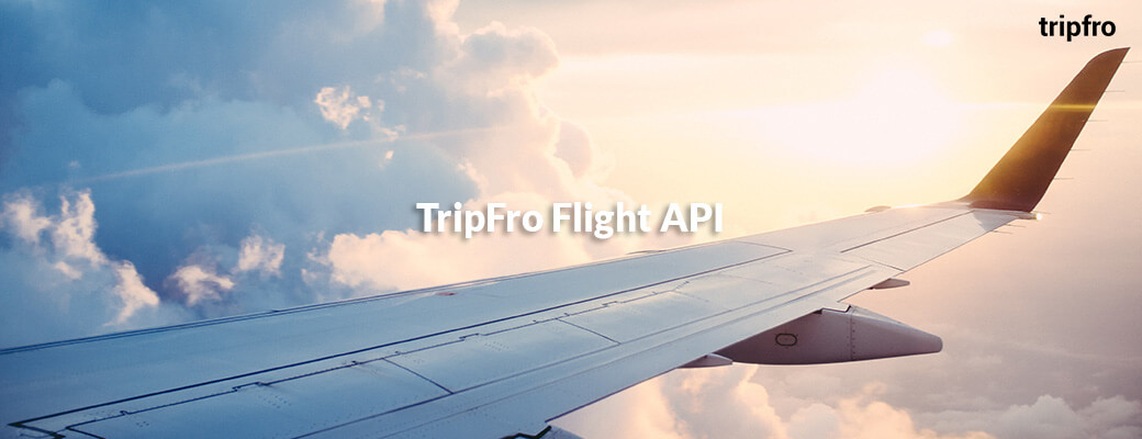 Flight API