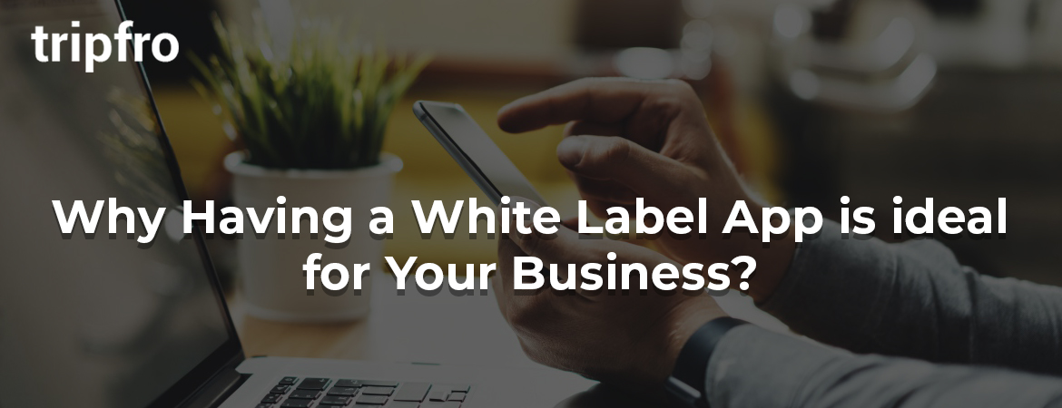 how-opting-for-whitelabel-solutions-benefits-your-business-everything-you-need-to-know