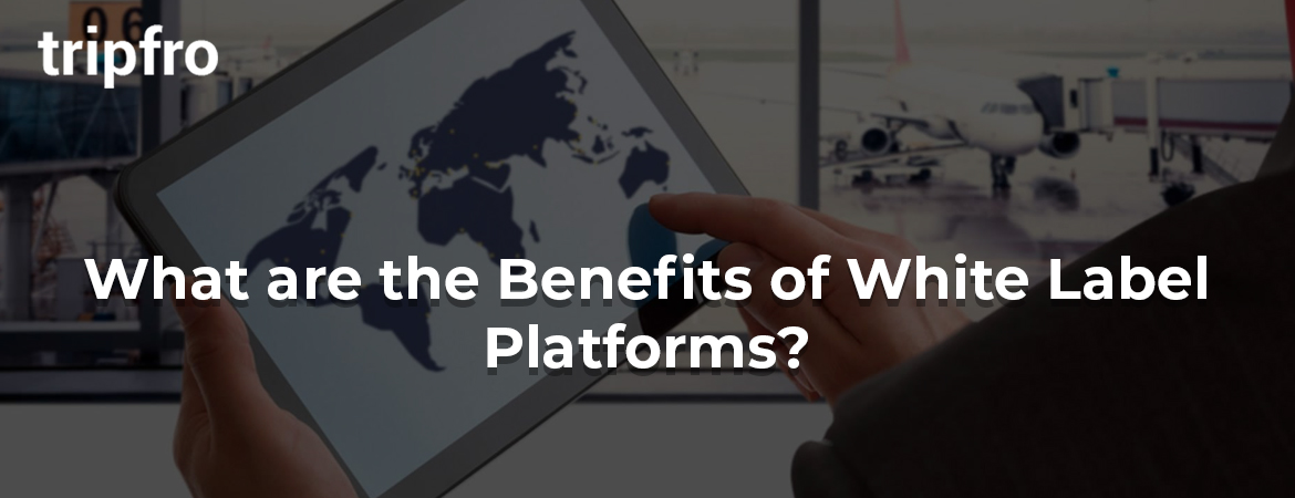 how-opting-for-whitelabel-solutions-benefits-your-business-everything-you-need-to-know